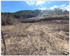  2023Ÿ��51300  �����