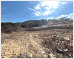  2023Ÿ��51300  �����