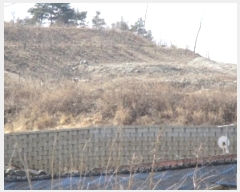  2023Ÿ��51300  �����