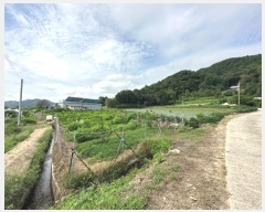  2023Ÿ57971   ȸ ϸ 530-1      (1)