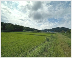  2023Ÿ57971   ȸ ϸ 530-1      (1)