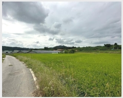  2023Ÿ57971   ȸ ϸ 530-1      (1)