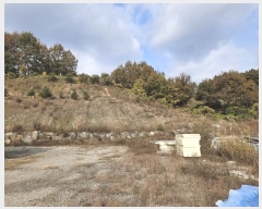  2023Ÿ��59700  ����