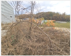  2023Ÿ��59700  ����