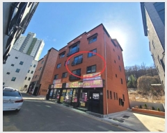  2023Ÿ��1374 ��� û�ֽ� ��籸 ��ϵ� 3255      �ܵ�����,�����ð��