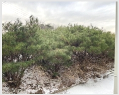  2023Ÿ60625  ûֽ   323-6      