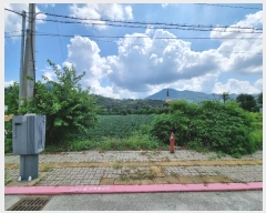  2023Ÿ1728  ֽ   1345-1      (1)