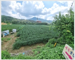  2023Ÿ1728  ֽ   1345-1      (1)