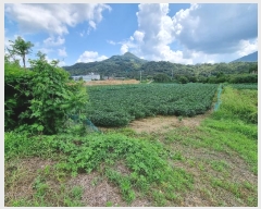  2023Ÿ1728  ֽ   1345-1      (1)