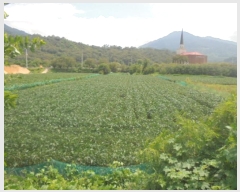  2023Ÿ1728  ֽ   1345-1      (1)