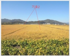  2023Ÿ3113  ֽ ߾ž ž 275-3      ()