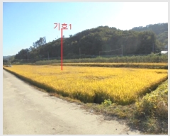  2023Ÿ3113  ֽ ߾ž ž 275-3      ()