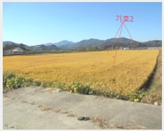  2023Ÿ3113  ֽ ߾ž ž 275-3      ()