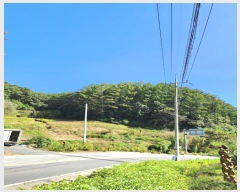  2023Ÿ2875  ֽ ҿ ź븮 26      (Ӿ)