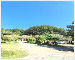  2023Ÿ2875  ֽ ҿ ź븮 26      (Ӿ)