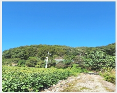  2023Ÿ2875  ֽ ҿ ź븮 26      (Ӿ)