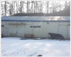  2023Ÿ��3687 ��� ���ֽ� �Ŵϸ� ���� 183-1      ������