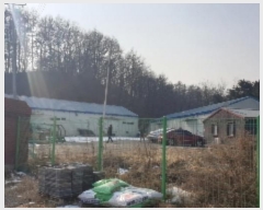  2023Ÿ��3687 ��� ���ֽ� �Ŵϸ� ���� 183-1      ������