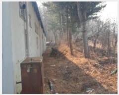  2023Ÿ��3687 ��� ���ֽ� �Ŵϸ� ���� 183-1      ������