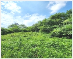  2023Ÿ10827  õ û  266      (1)