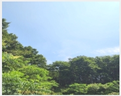  2023Ÿ10827  õ û  266      (1)