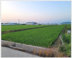  2023Ÿ4752 泲 ⱺ  ָ 967-2      ()