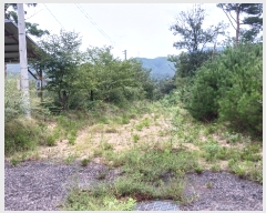  2023Ÿ��6338 �泲 �ݻ걺 �θ��� ���븮 724-43      ����,â�����