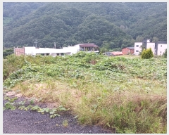  2023Ÿ��6338 �泲 �ݻ걺 �θ��� ���븮 724-43      ����,â�����