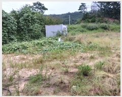  2023Ÿ��6338 �泲 �ݻ걺 �θ��� ���븮 724-43      ����,â�����