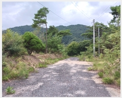  2023Ÿ��6338 �泲 �ݻ걺 �θ��� ���븮 724-43      ����,â�����