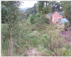  2023Ÿ��6338 �泲 �ݻ걺 �θ��� ���븮 724-43      ����,â�����