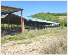  2023Ÿ121633 泲 ݻ걺   414      (󰡽ü)