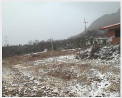  2023Ÿ10993 泲 ݻ걺 ߺθ 븮 23-1      (1)