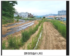  2023Ÿ��107286 ���� ����� ��ȭ�� 254-62       ����(������)���