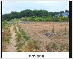  2023Ÿ��107286 ���� ����� ��ȭ�� 254-62       ����(������)���