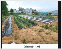  2023Ÿ��107286 ���� ����� ��ȭ�� 254-62       ����(������)���