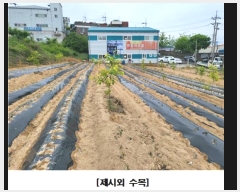  2023Ÿ��107286 ���� ����� ��ȭ�� 254-62       ����(������)���