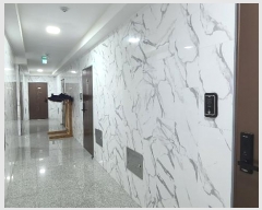  2023Ÿ112523    680-3       ٰð