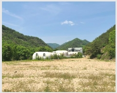  2023Ÿ��3087  ���(ķ����)���