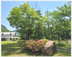  2023Ÿ��3087  ���(ķ����)���