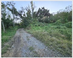  2023Ÿ��7829 ����Ư����ġ�� ������ ���ϸ� ��43-8       ����(�Ӿ�)���