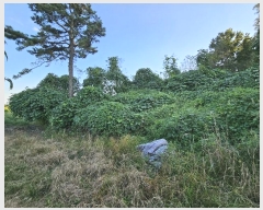  2023Ÿ��7829 ����Ư����ġ�� ������ ���ϸ� ��43-8       ����(�Ӿ�)���