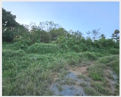  2023Ÿ��7829 ����Ư����ġ�� ������ ���ϸ� ��43-8       ����(�Ӿ�)���