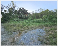  2023Ÿ��7829 ����Ư����ġ�� ������ ���ϸ� ��43-8       ����(�Ӿ�)���