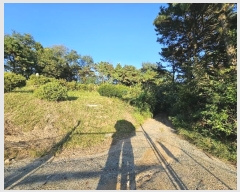  2023Ÿ��7829 ����Ư����ġ�� ������ ���ϸ� ��43-8       ����(�Ӿ�)���