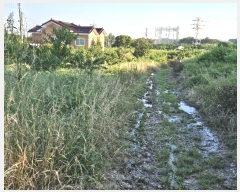  2023Ÿ��7829 ����Ư����ġ�� ������ ���ϸ� ��43-8       ����(�Ӿ�)���