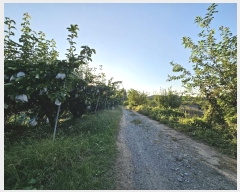  2023Ÿ��7829 ����Ư����ġ�� ������ ���ϸ� ��43-8       ����(�Ӿ�)���