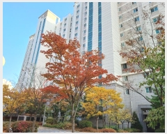  2023Ÿ116266 Ưġ û 210, 1009 5502ȣ (,ȣ︶10)     Ʈ