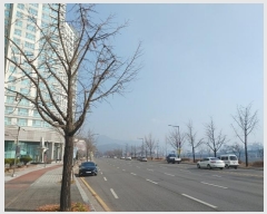  2023Ÿ��120456 ���� ������ ��������123���� 26-30, 17��1-1702ȣ (���浿,����Ʈ��Ƽ������)     ���ǽ��ڰ��