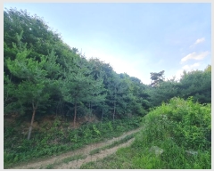  2023Ÿ��4523 ����Ư����ġ�� �屺�� �ݾϸ� 318-1       ����(�Ӿ�)���